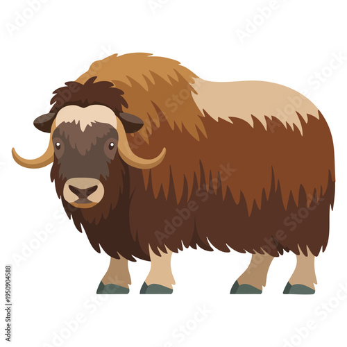 Flat vector illustration musk ox isolated on white background suitable for arctic wildlife mammal themed artwork