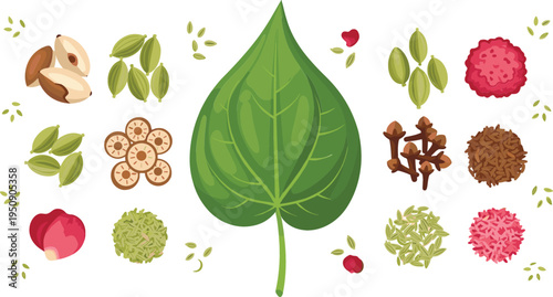 Betel Leaf with Traditional Indian Paan Ingredients Including Areca Nut, Cardamom, Clove, Fennel and Sweet Fillings Cultural Food Vector Illustration
