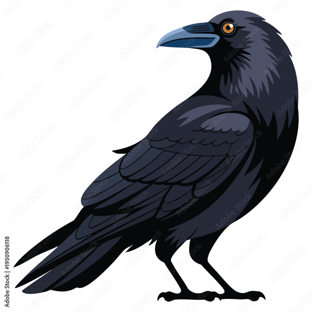 Fototapeta premium Isolated crow illustration on white background vector artwork ideal for wildlife bird nature spooky or gothic themed creative designs