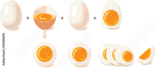 Boiled egg preparation steps with cracked shell yolk halves slices and cooking process protein food vector illustration