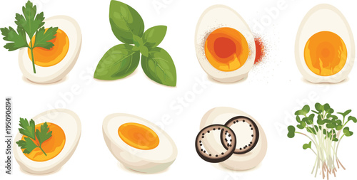 Boiled egg halves collection with yolk garnish herbs pepper slices and microgreens healthy protein food vector set