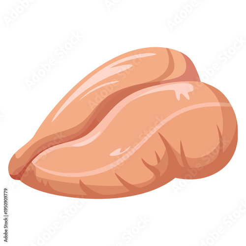 Raw chicken breast from chicken carcass vector illustration isolated on white background perfect for meat packaging butcher shop and food product design