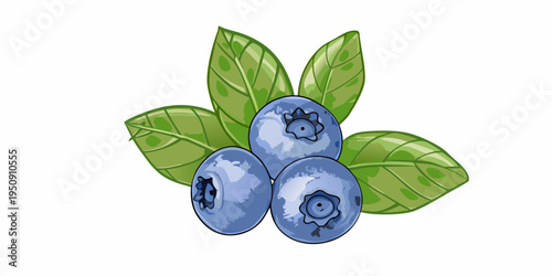 A watercolor illustration depicting a cluster of fresh blueberries with leaves
