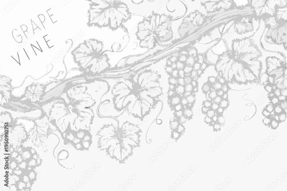 Fototapeta premium Elegant grayscale illustration of a grape vine with detailed leaves and bunches
