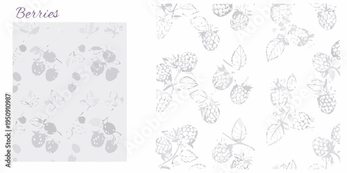 Delicate botanical illustration of blackberries and leaves on a light background