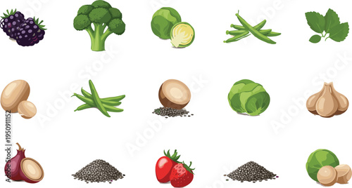 Fresh vegetables fruits seeds and herbs collection with broccoli cabbage beans garlic onion strawberry blackberry healthy food vector set