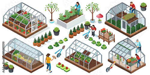Isometric illustration of people gardening within and around greenhouses