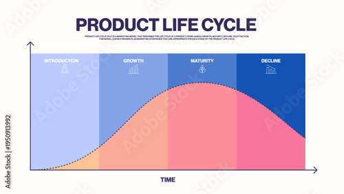 Product life cycle infographic presentation for business and marketing strategy