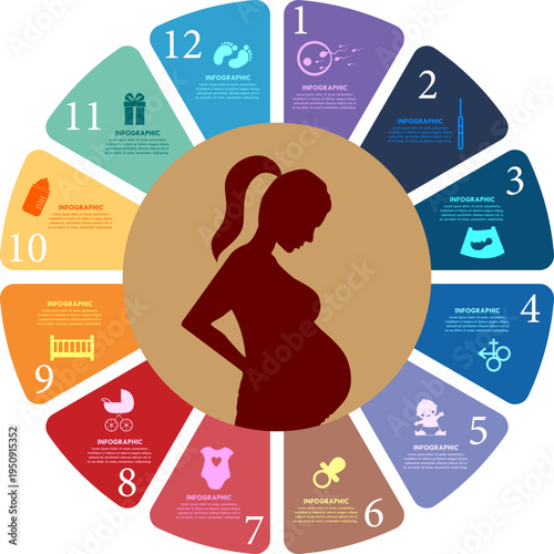 Pregnancy infographic template with maternal health icons and timeline layout for expecting mothers.