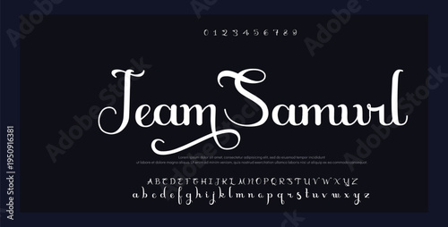 Script Brush Font Type Font lettering handwritten 