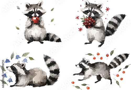 set of Watercolor Raccoon Clipart, Cute Forest Animal Illustration, Isolated on White