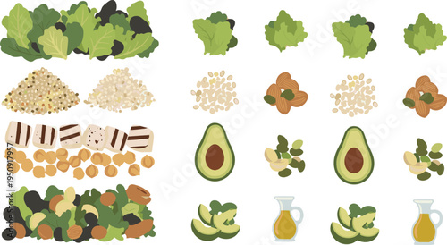 Healthy salad ingredients collection with leafy greens quinoa avocado nuts seeds cheese olives and olive oil vector set