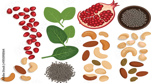 Healthy superfood ingredients collection with pomegranate seeds chia spinach almonds cashews and mixed nuts vector illustration set