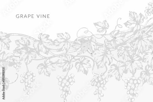 Delicate sketch of a grape vine with leaves and bunches of grapes