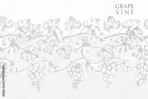 Delicate sketch of a grape vine with leaves and bunches of grapes
