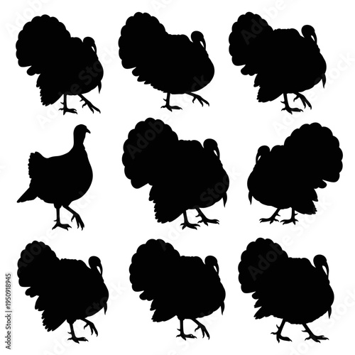 Black silhouette of multiple turkeys standing.