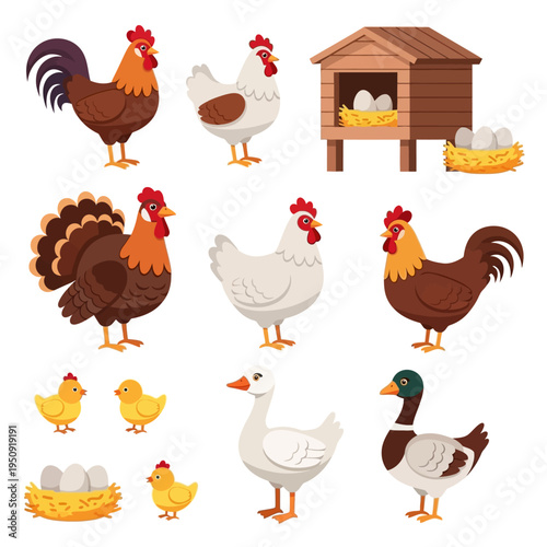 Cartoon chickens and ducks farm animals.