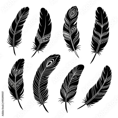 Collection of black decorative feathers.