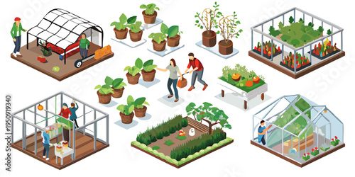 Isometric illustration of a thriving community garden and greenhouse setup