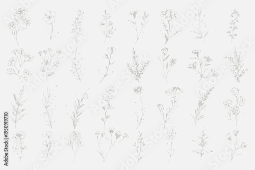 Delicate floral sketches of various wildflowers and botanical elements