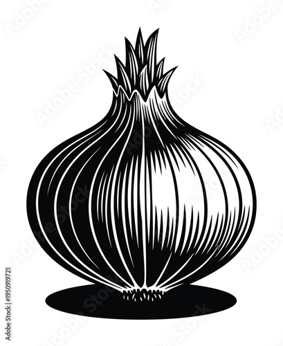 Vector art of a bulbous onion with a textured surface and pointy tips