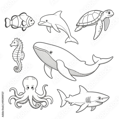 Collection of sea creatures drawings.