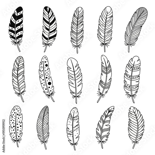 Collection of various feather illustrations.