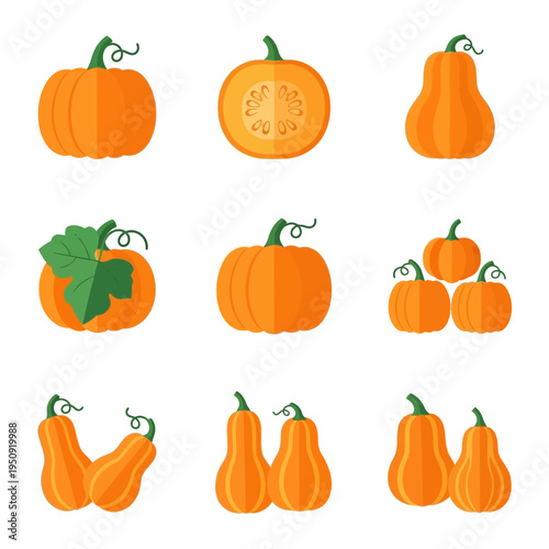 Collection of various pumpkin types.