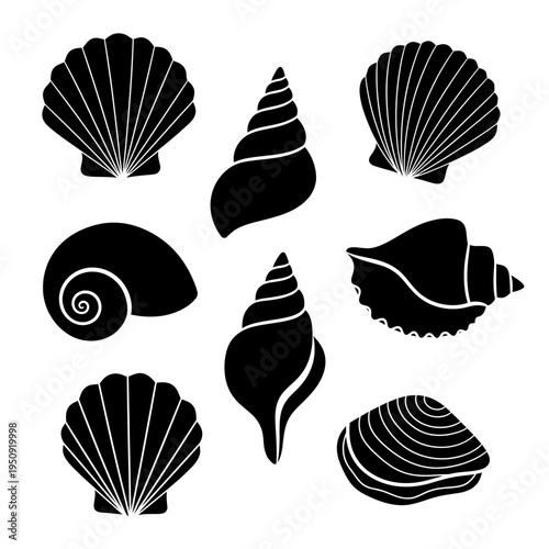 Collection of various seashell silhouettes.