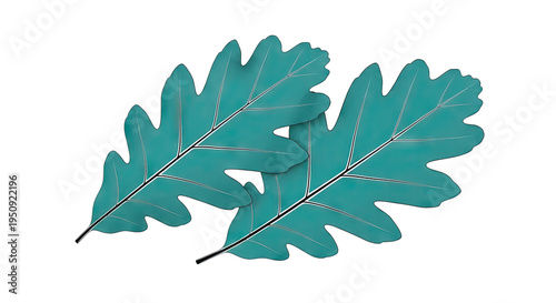 Two Teal Oak Leaves