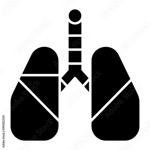 lungs Solid icon