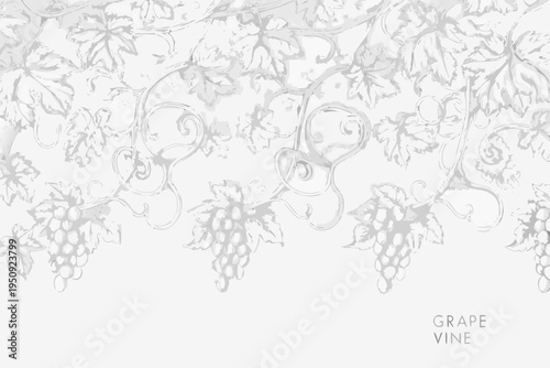 Elegant grayscale illustration of swirling vines and grape bunches