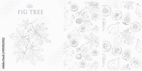 Delicate botanical illustration of fig tree branches leaves and fruit