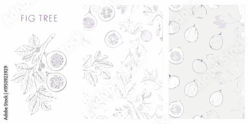 Botanical illustration of fig tree branches fruit and leaves pattern