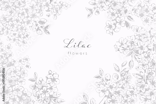 Delicate lilac flowers and foliage in a grayscale botanical illustration