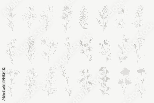 Delicate botanical illustrations of various wildflowers and foliage