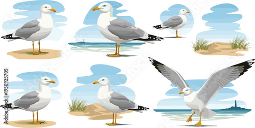 Bilde på lerret Seagull Bird Collection with Coastal Beach Scenes, Flying and Standing Sea Gull