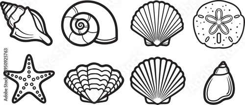 Assorted seashells and starfish: a collection of coastal treasures Vector