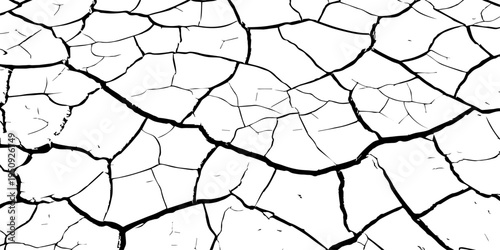 Dense White Cracked Soil Texture Background, Detailed Dry Earth Pattern Abstract Surface