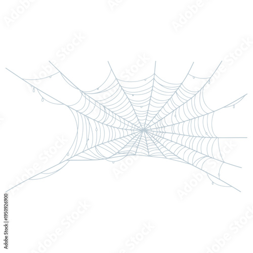 Realistic spider web vector illustration set isolated on transparent background. Creepy cobweb corner decoration for Halloween design, spooky gothic gothic aesthetic, hand-drawn net pattern graphic.