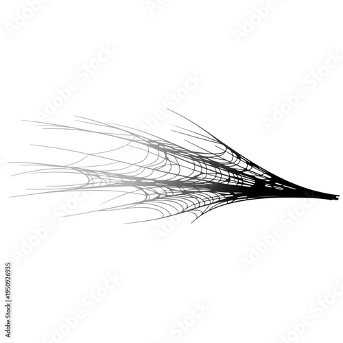 Realistic spider web vector illustration set isolated on transparent background. Creepy cobweb corner decoration for Halloween design, spooky gothic gothic aesthetic, hand-drawn net pattern graphic.