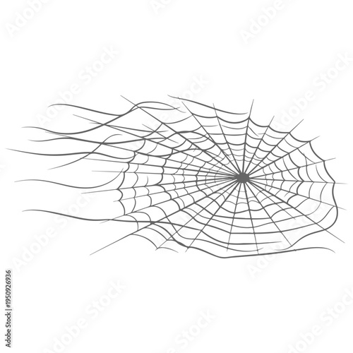 Realistic spider web vector illustration set isolated on transparent background. Creepy cobweb corner decoration for Halloween design, spooky gothic gothic aesthetic, hand-drawn net pattern graphic.