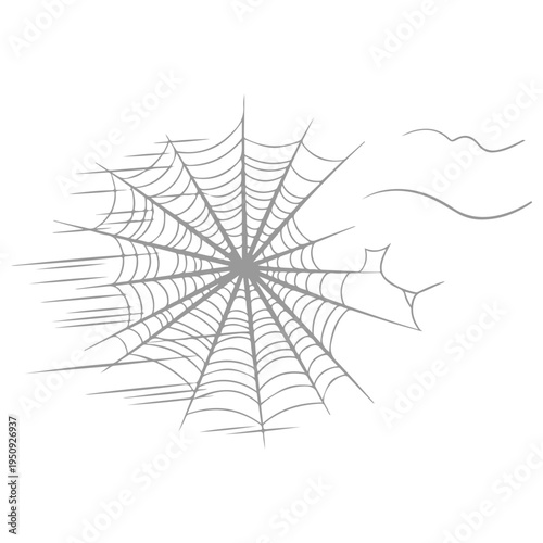 Realistic spider web vector illustration set isolated on transparent background. Creepy cobweb corner decoration for Halloween design, spooky gothic gothic aesthetic, hand-drawn net pattern graphic.