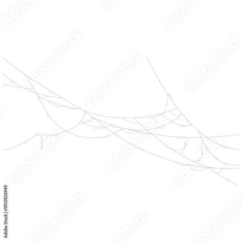 Realistic spider web vector illustration set isolated on transparent background. Creepy cobweb corner decoration for Halloween design, spooky gothic gothic aesthetic, hand-drawn net pattern graphic.