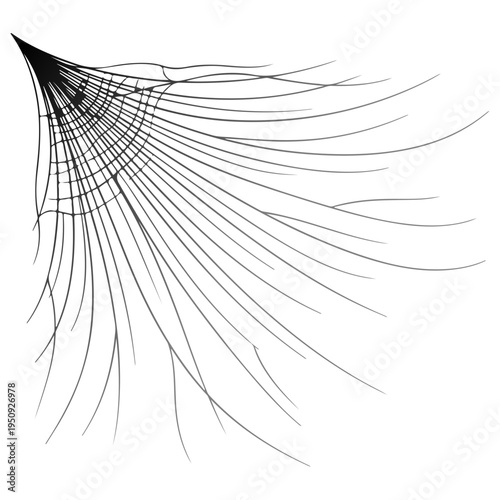 Realistic spider web vector illustration set isolated on transparent background. Creepy cobweb corner decoration for Halloween design, spooky gothic gothic aesthetic, hand-drawn net pattern graphic.