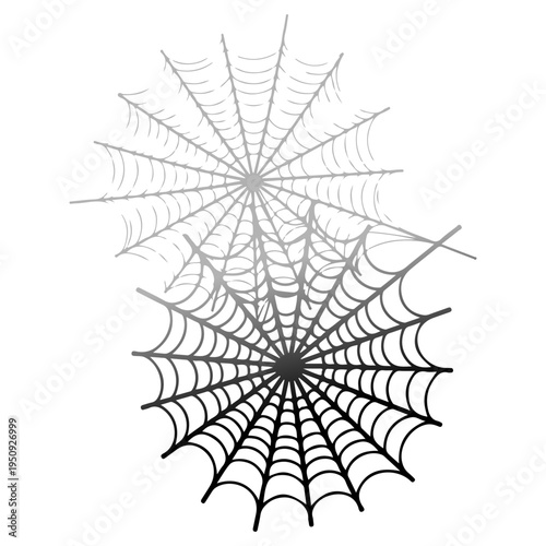 Realistic spider web vector illustration set isolated on transparent background. Creepy cobweb corner decoration for Halloween design, spooky gothic gothic aesthetic, hand-drawn net pattern graphic.