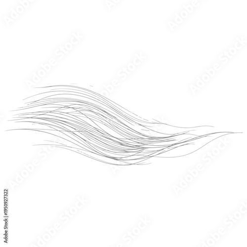 Realistic spider web vector illustration set isolated on transparent background. Creepy cobweb corner decoration for Halloween design, spooky gothic gothic aesthetic, hand-drawn net pattern graphic.