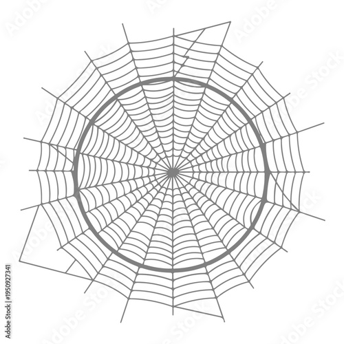 Realistic spider web vector illustration set isolated on transparent background. Creepy cobweb corner decoration for Halloween design, spooky gothic gothic aesthetic, hand-drawn net pattern graphic.