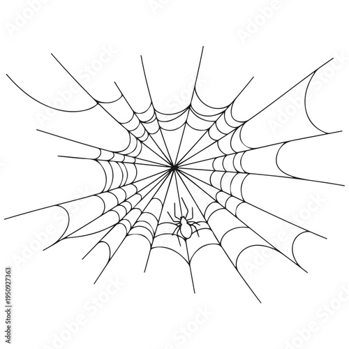 Realistic spider web vector illustration set isolated on transparent background. Creepy cobweb corner decoration for Halloween design, spooky gothic gothic aesthetic, hand-drawn net pattern graphic.