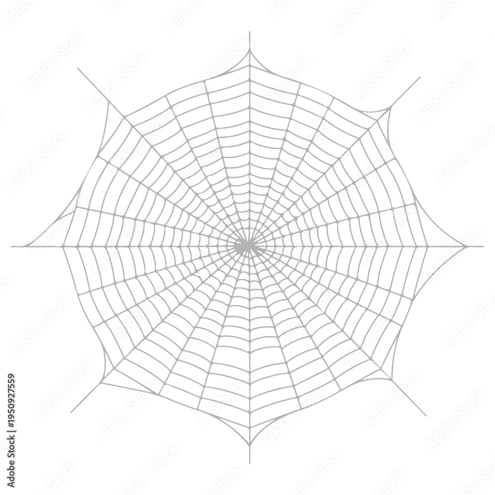 Obraz premium Realistic spider web vector illustration set isolated on transparent background. Creepy cobweb corner decoration for Halloween design, spooky gothic gothic aesthetic, hand-drawn net pattern graphic.